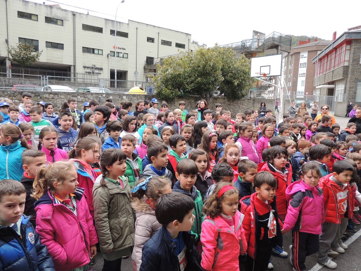 Un nuevo olmo en el patio del colegio Alejandro Casona, de Cangas del Narcea