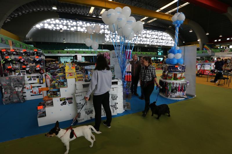 Salón de las Mascotas en Avilés