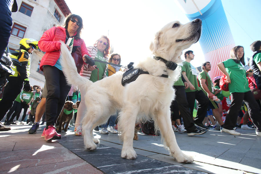 Oviedo corre contra el cáncer