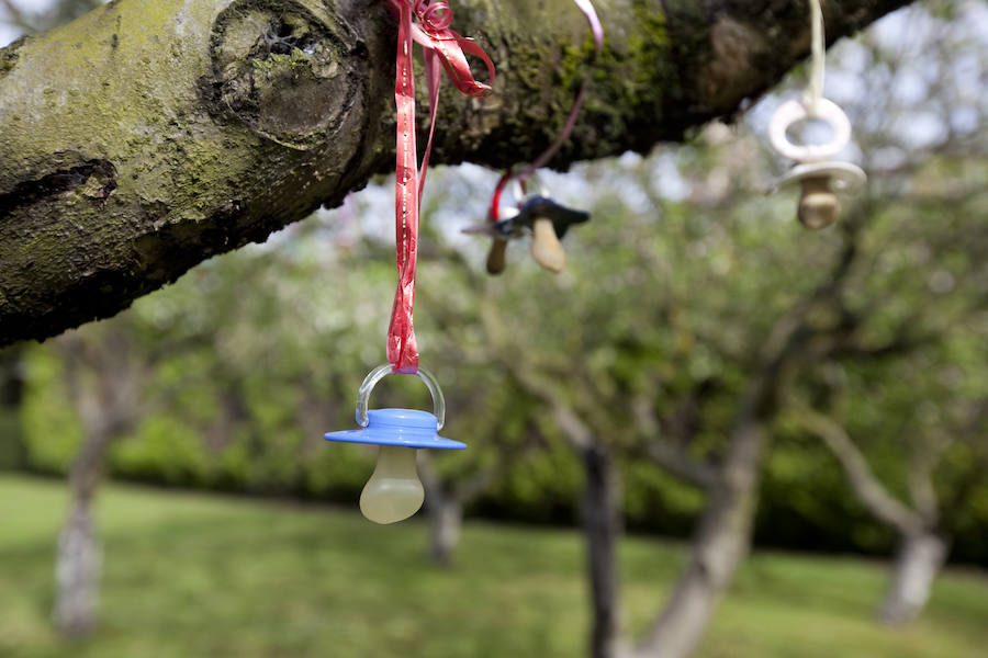 Los peques del Codema ya tienen su huerto