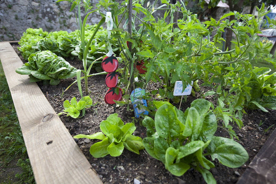 Los peques del Codema ya tienen su huerto