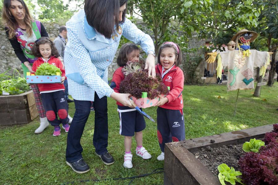Los peques del Codema ya tienen su huerto