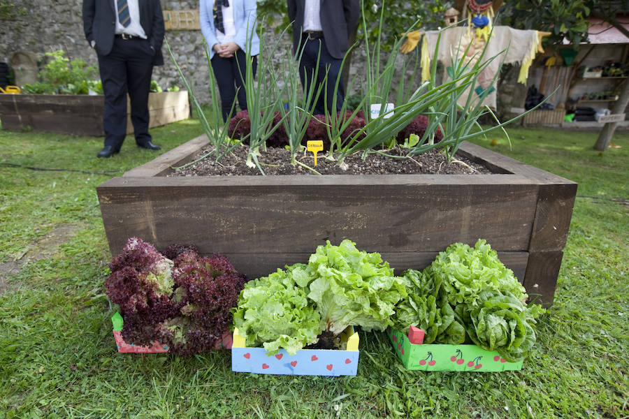 Los peques del Codema ya tienen su huerto