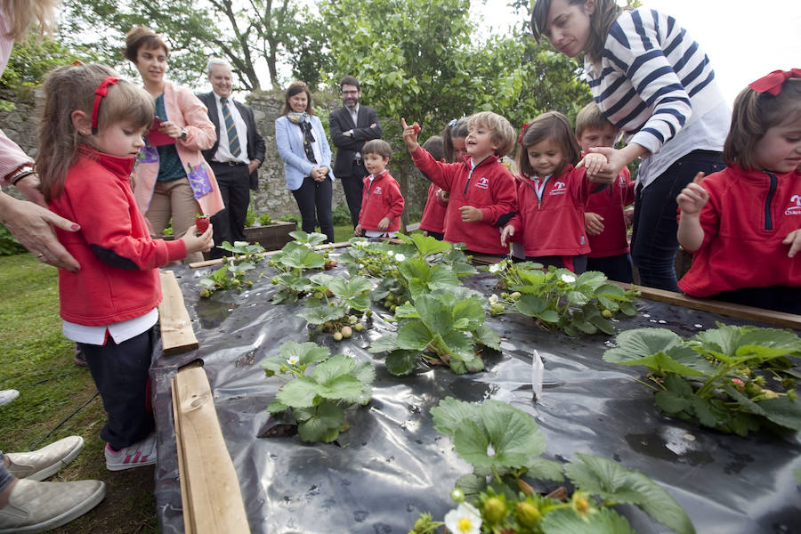 Los peques del Codema ya tienen su huerto