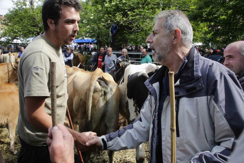 Más de 3.000 cabezas de ganado en la Feriona de Corao