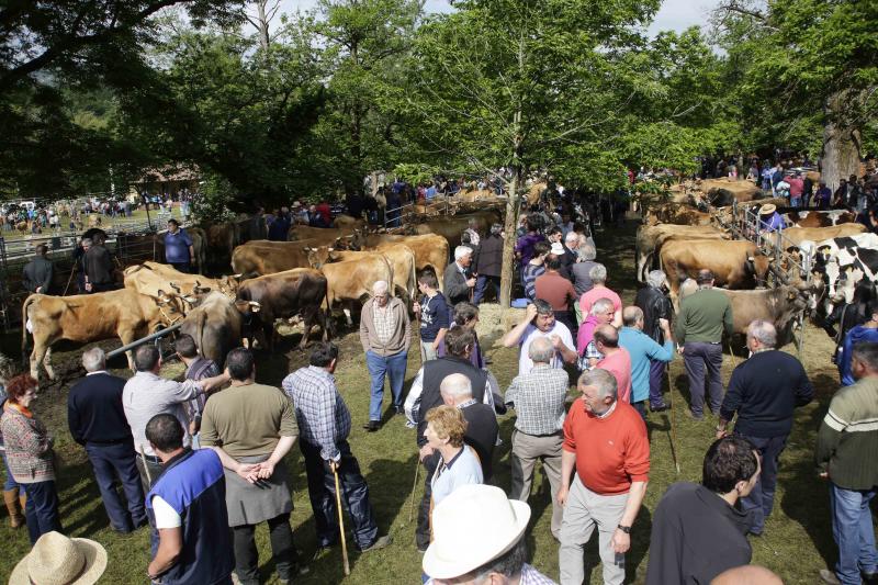 Más de 3.000 cabezas de ganado en la Feriona de Corao