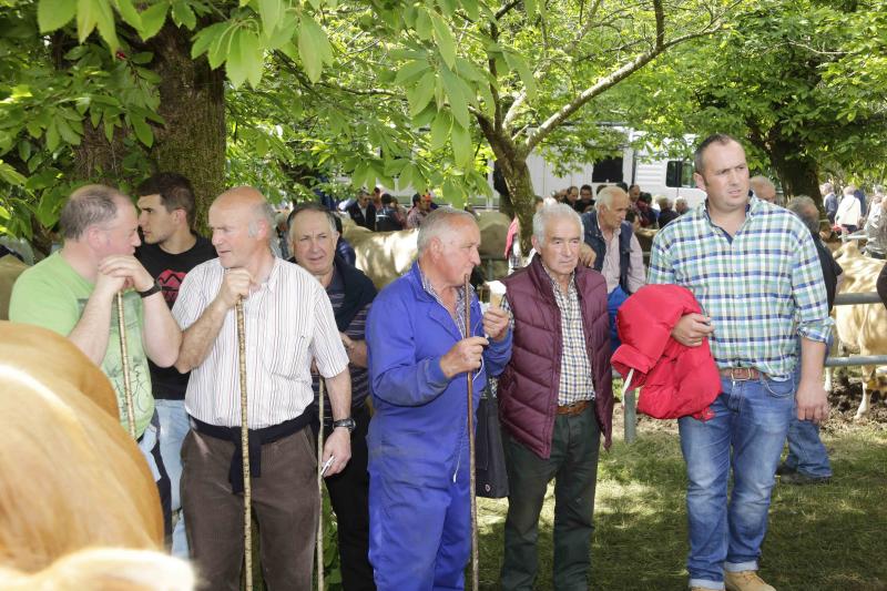 Más de 3.000 cabezas de ganado en la Feriona de Corao