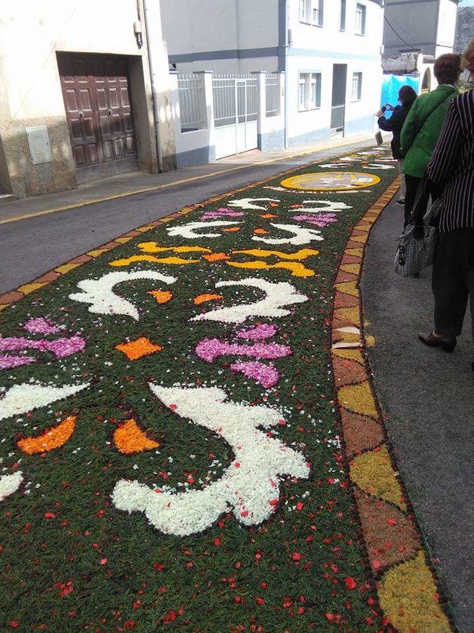 Alfombras florales en Castropol
