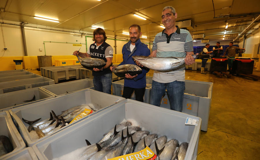 200,80 euros, el kilo de bonito en Avilés