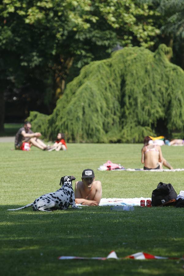 Sol, calor y ganas de verano