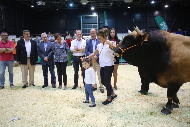 Gijón despide la feria de San Antonio