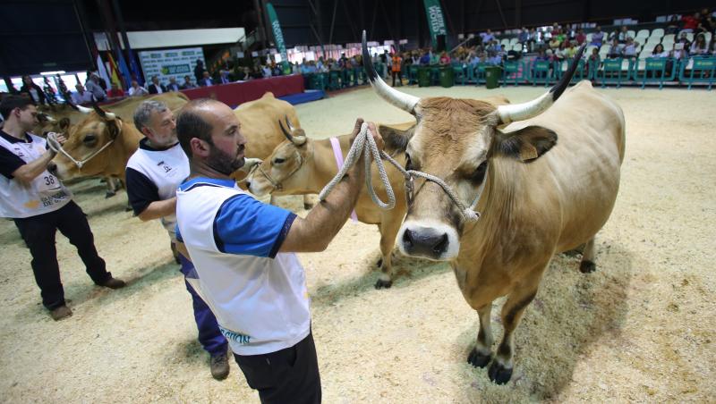 Gijón despide la feria de San Antonio