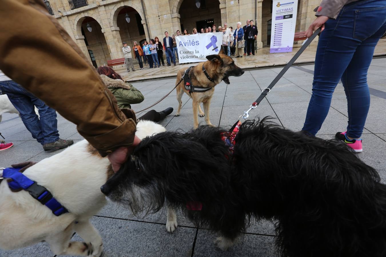 Concentración a favor de una perrera en Avilés