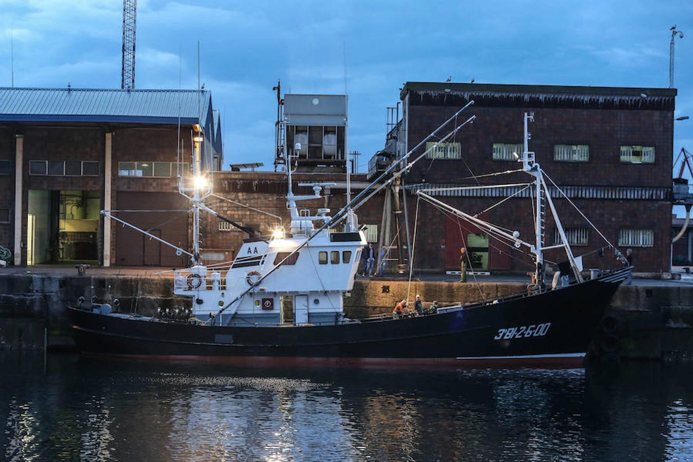 Llega el primer bonito de la temporada a Gijón