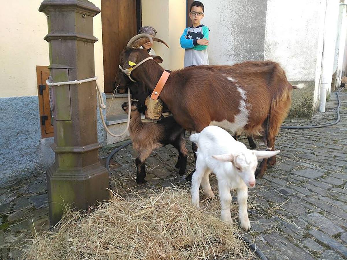 Taramundi celebra 30 años del turismo rural