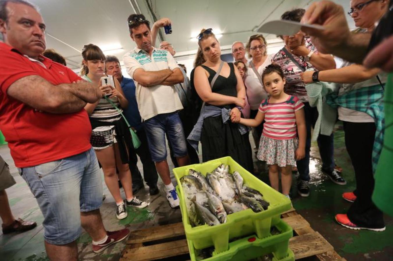 La lonja «rula» turistas en verano