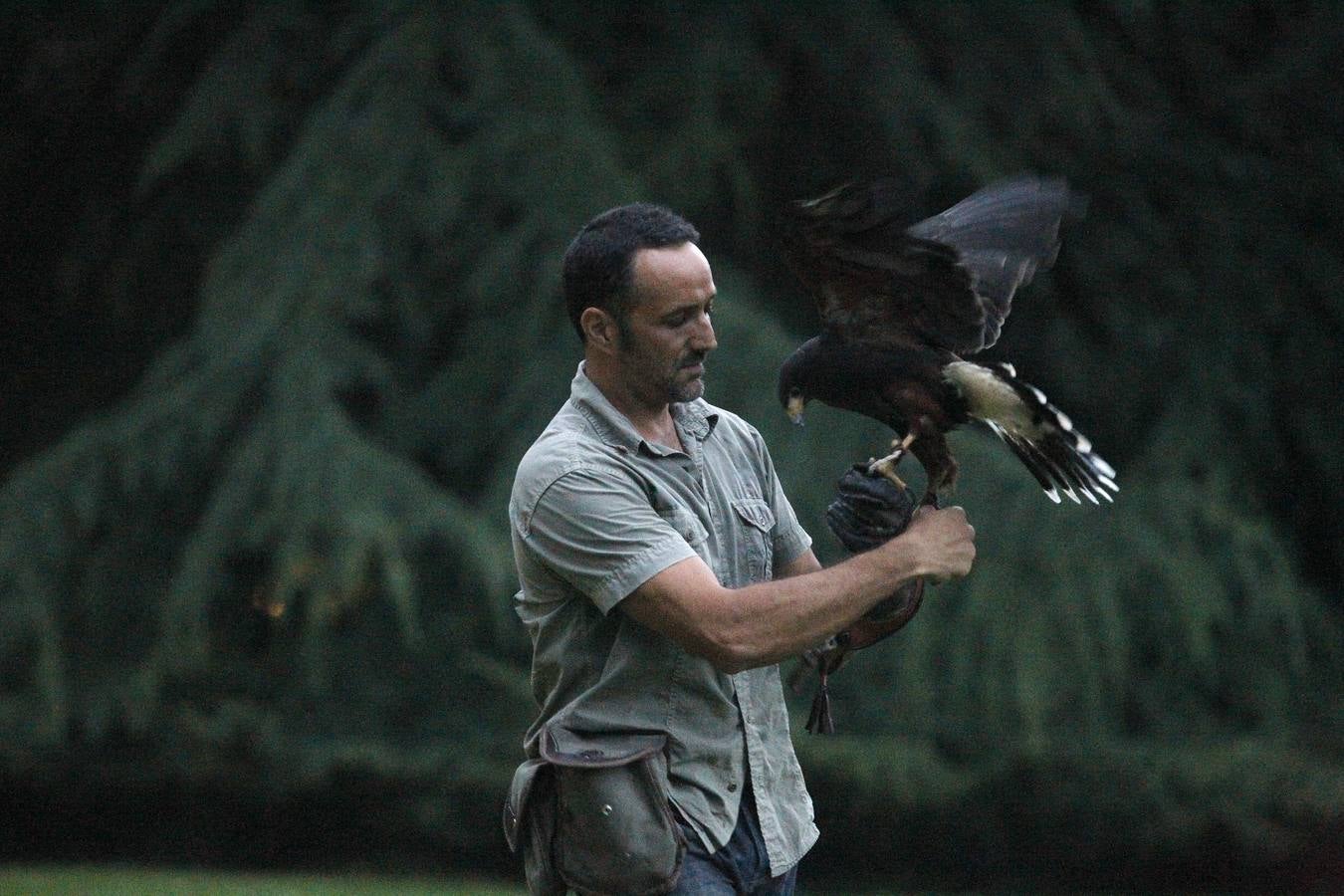 Nocturnia conquista las noches del Jardín Botánico de Gijón