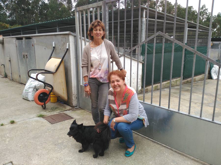 Lola Moreno, presidenta de Amigos del Perro, a la derecha junto a Susana de la Rubia, coordinadora del Albergue de Serín y el perro Moreno