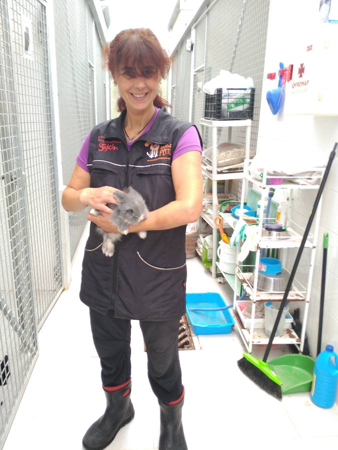 Pilar con Tambor, uno de los conejos del albergue