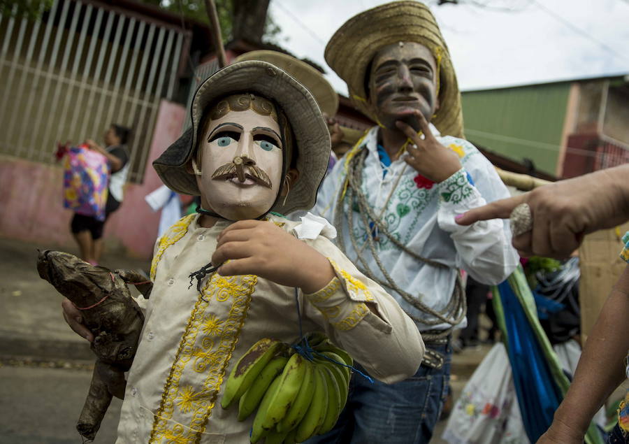 Las vacas culonas de Nicaragua