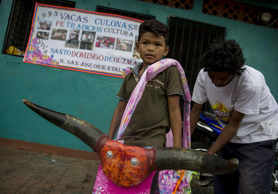 Las vacas culonas de Nicaragua