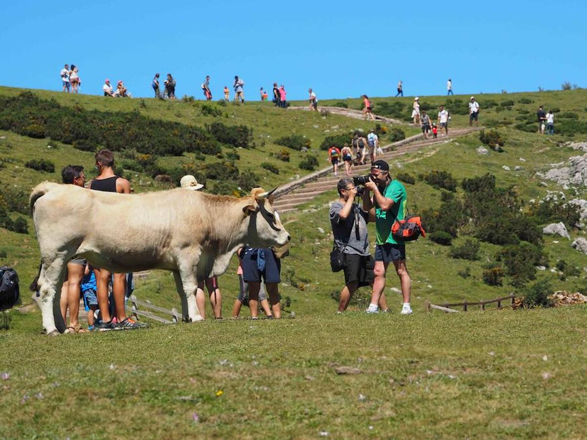 Lleno en los Lagos de Covadonga