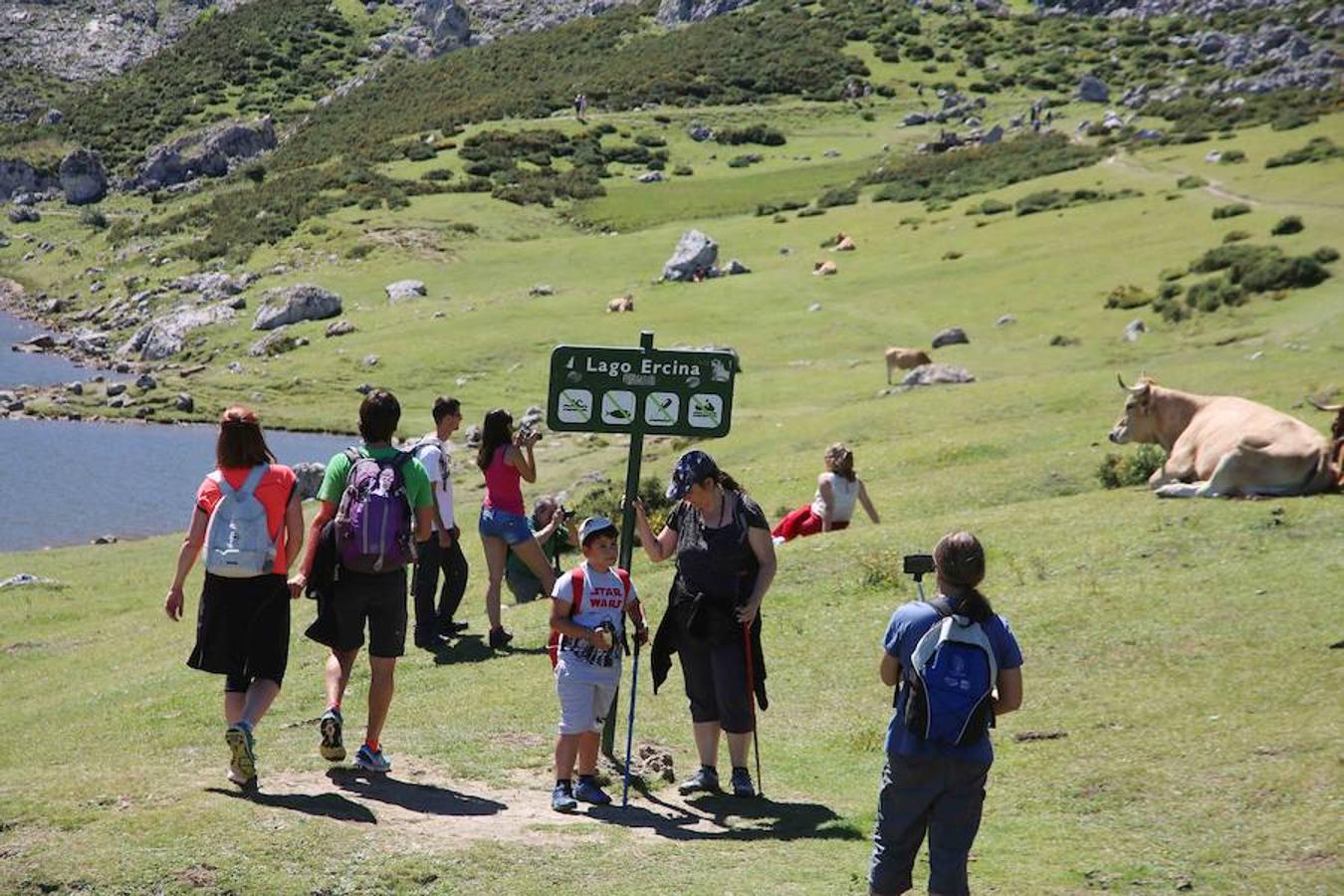 Lleno en los Lagos de Covadonga