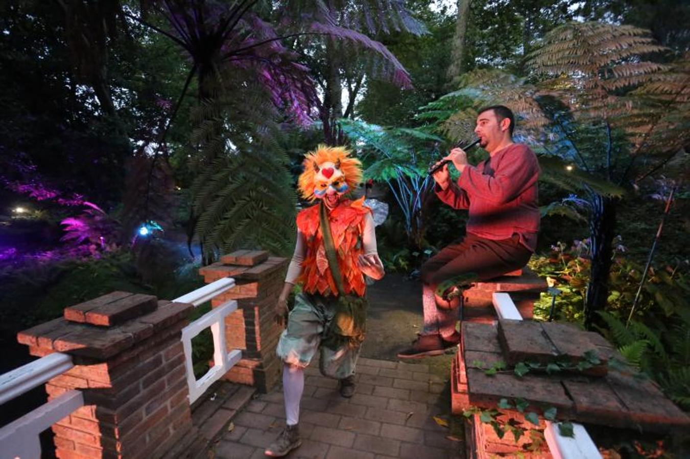 Así son las Noches Mágicas en el Botánico de Gijón