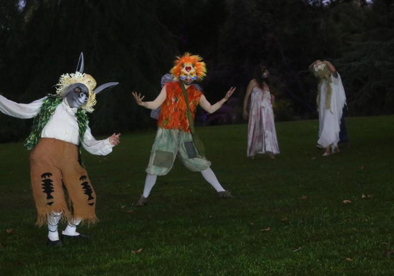 Así son las Noches Mágicas en el Botánico de Gijón