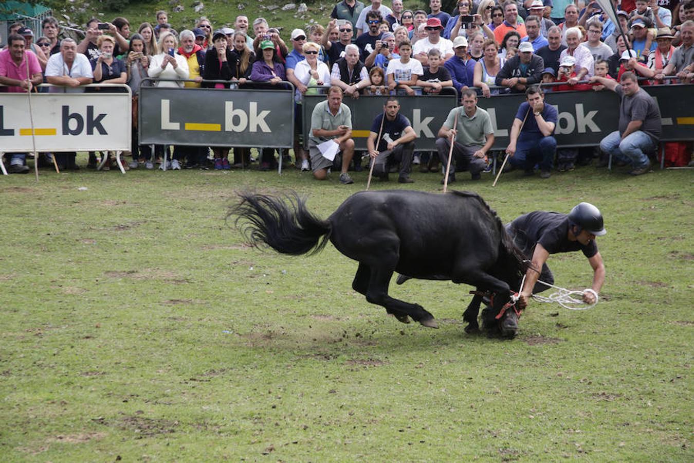 La Fiesta del Asturcón en la majada de Espineres