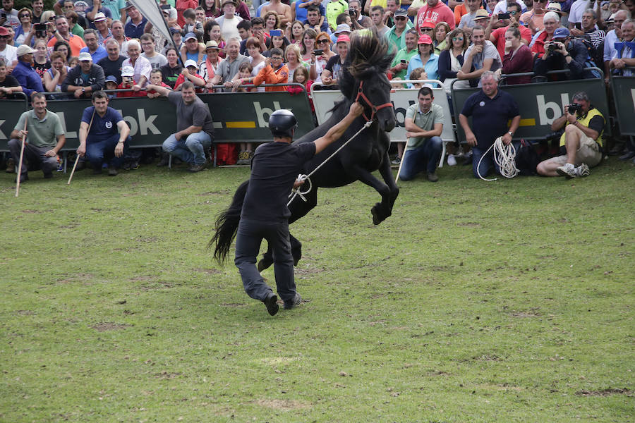 La Fiesta del Asturcón en la majada de Espineres