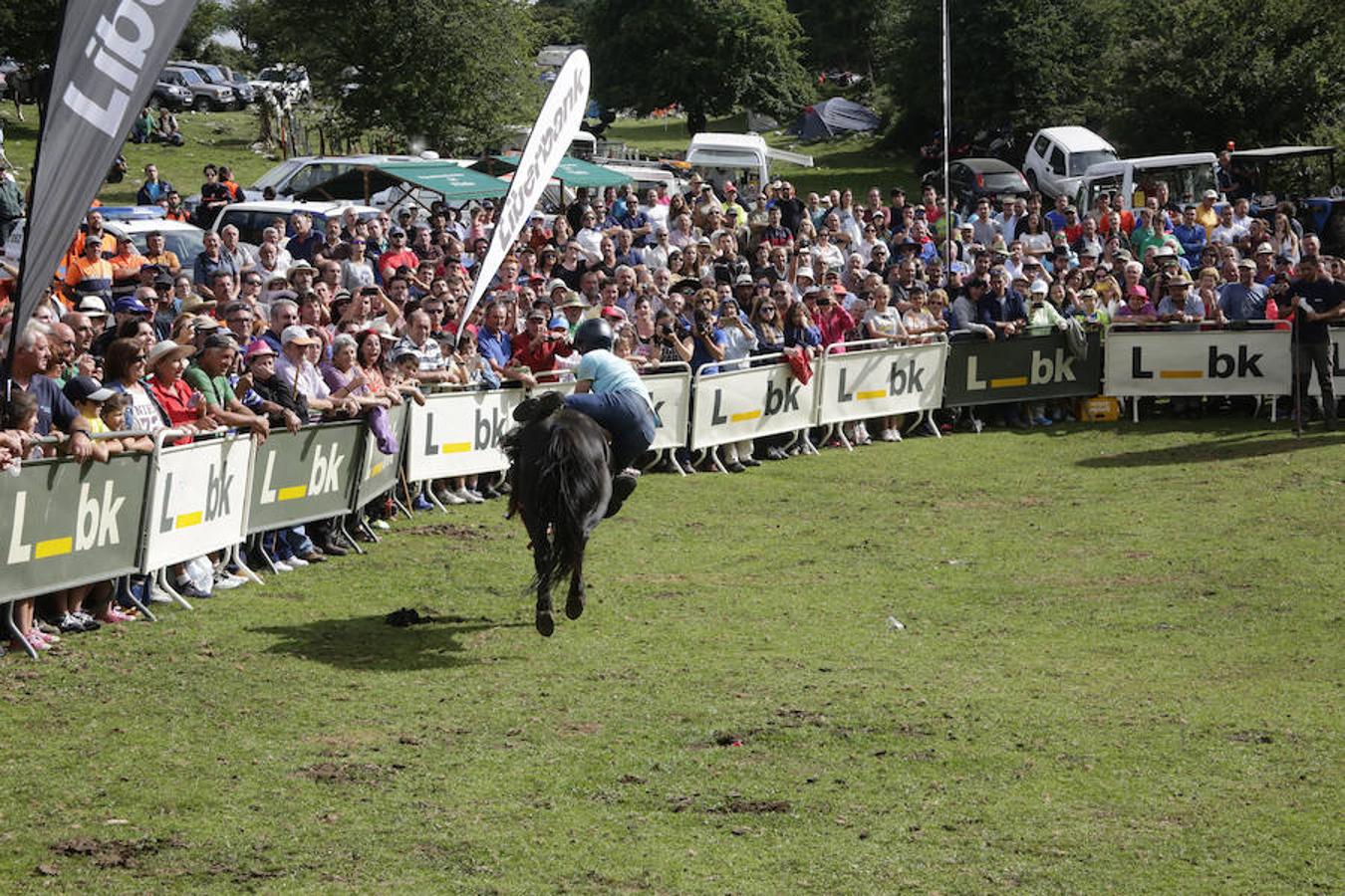 La Fiesta del Asturcón en la majada de Espineres