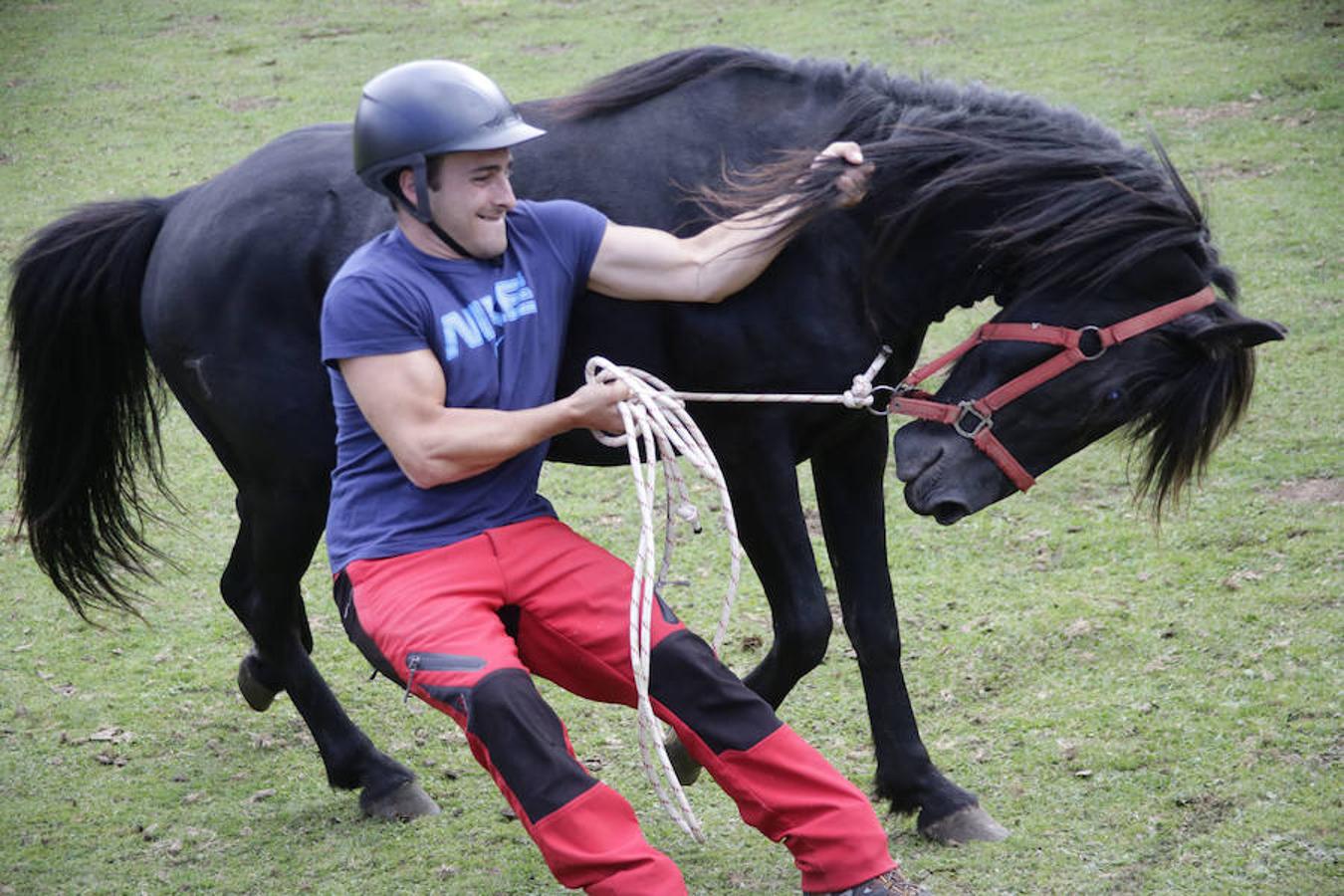 La Fiesta del Asturcón en la majada de Espineres
