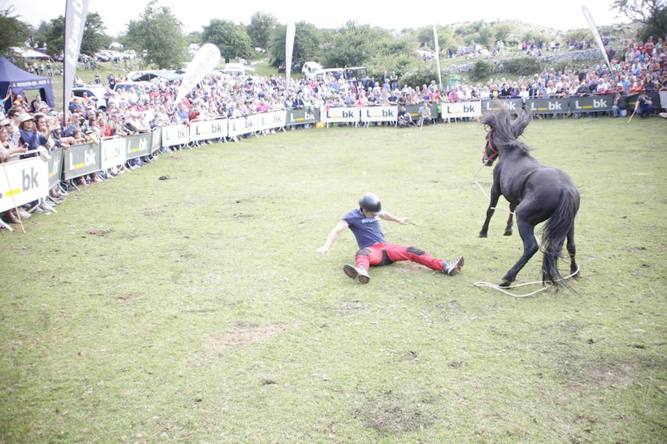 La Fiesta del Asturcón en la majada de Espineres