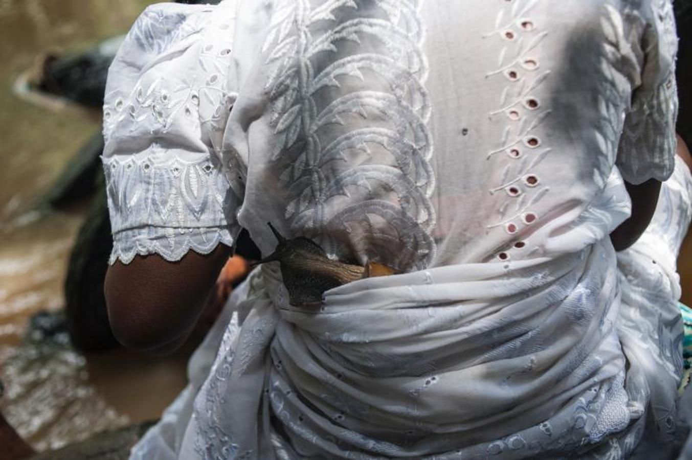 En honor al dios Osun