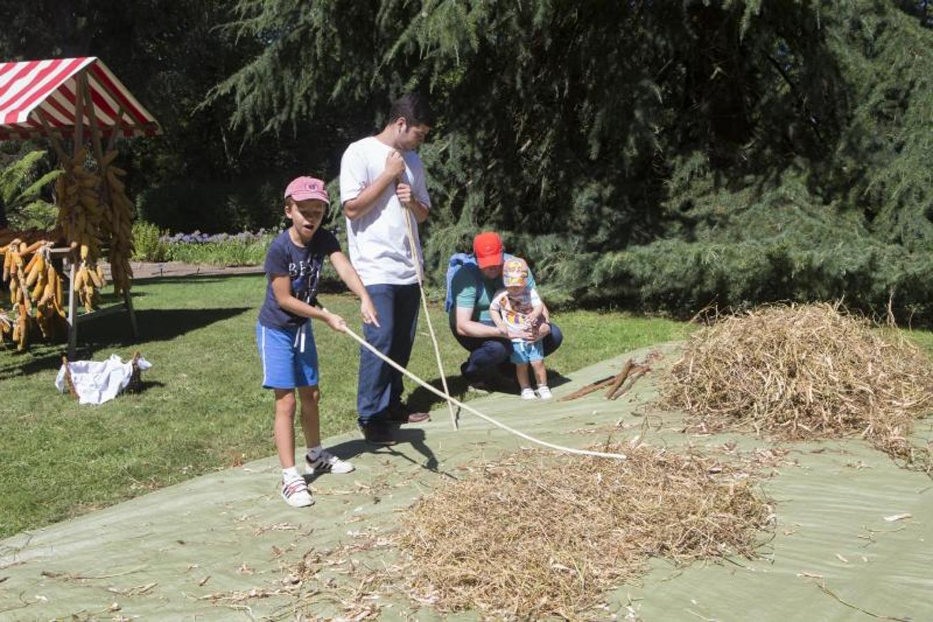 De picnic en el Botánico