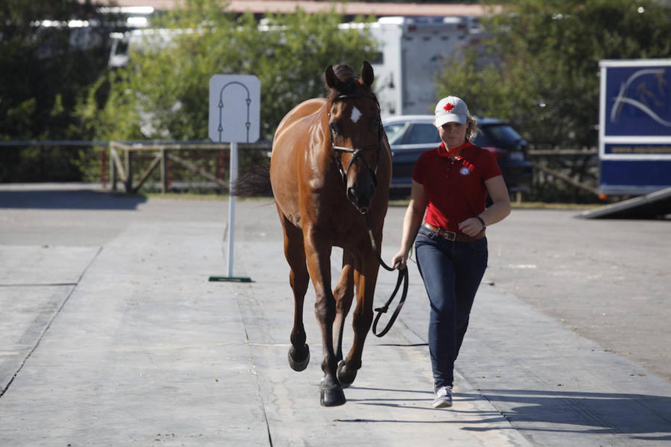 Todo a punto en Las Mestas para el Concurso de Saltos Internacional