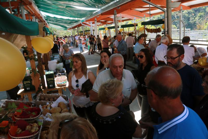 Segunda edición del Certamen del Queso Casín