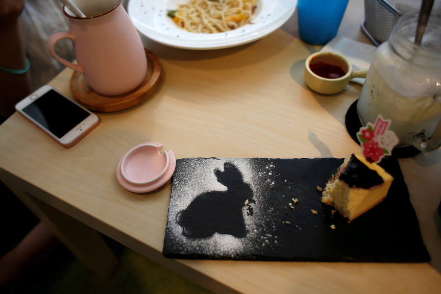 Café para los amantes de los conejos en Hong Kong