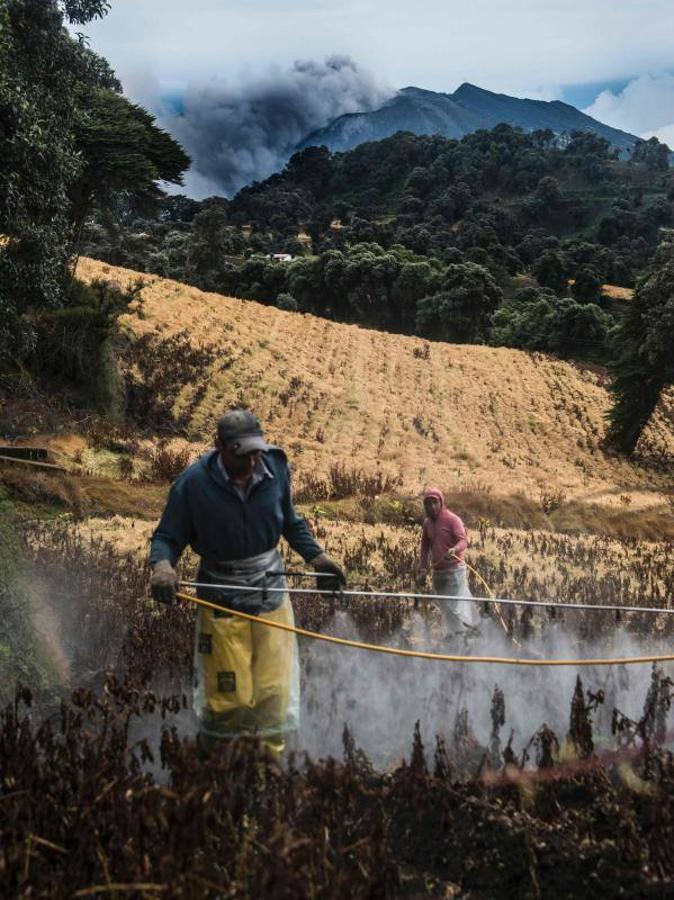 Cuando un volcán despierta