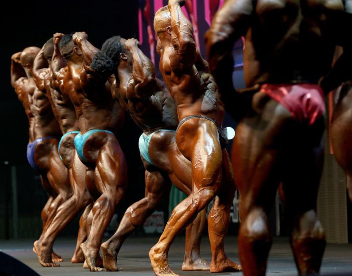 Esculturas de carne y hueso