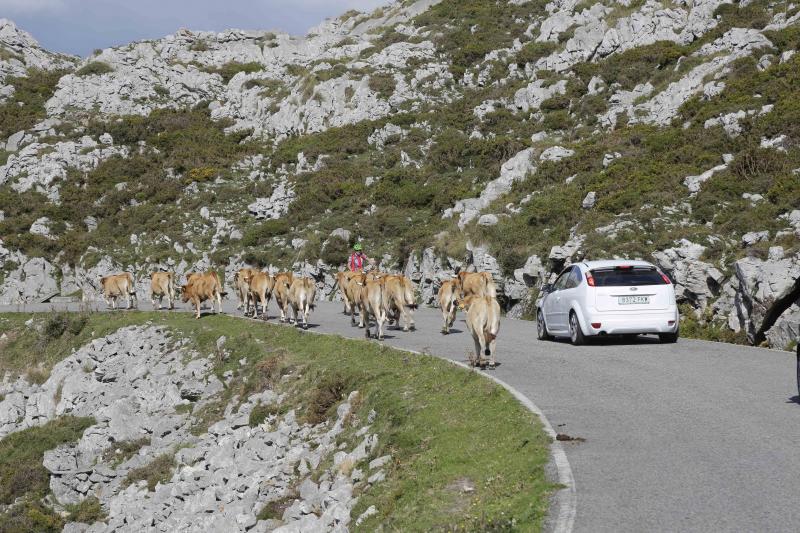 La carretera a los Lagos, otra vez cortada