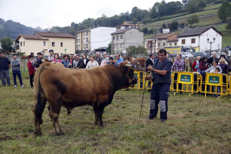 San Julián celebra las fiestas del Rosario