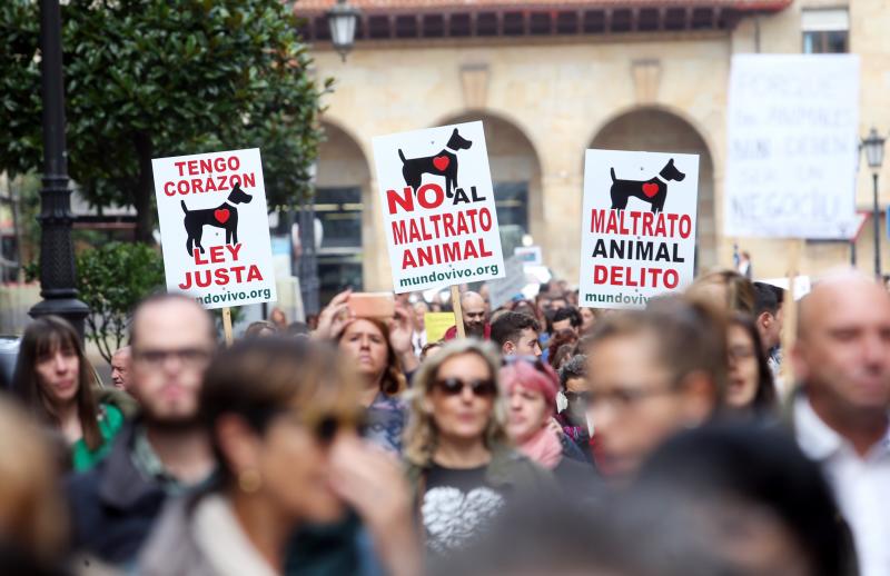 Manifestación contra los sacrificios en la perrera de Oviedo