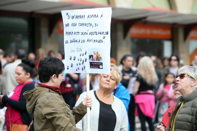 Manifestación contra los sacrificios en la perrera de Oviedo