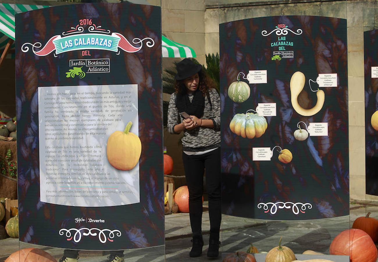 El Botánico de Gijón celebra el Día de las Calabazas