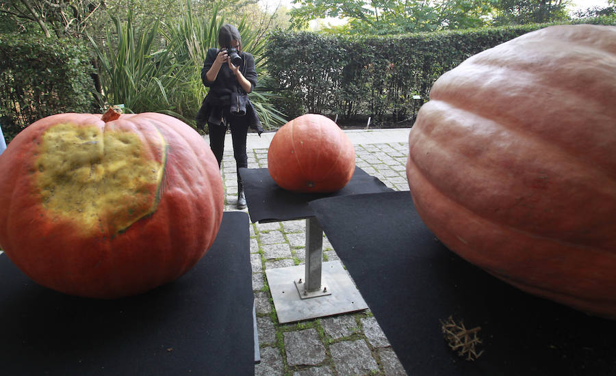 El Botánico de Gijón celebra el Día de las Calabazas