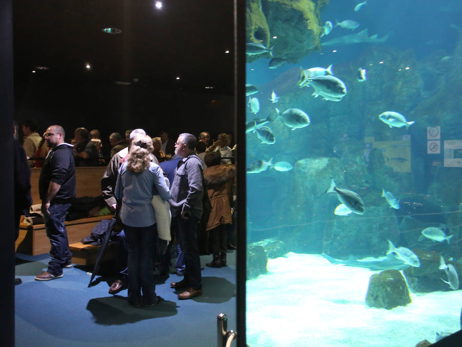 Un cóctel de lo más especial para celebrar los diez años del Acuario de Gijón