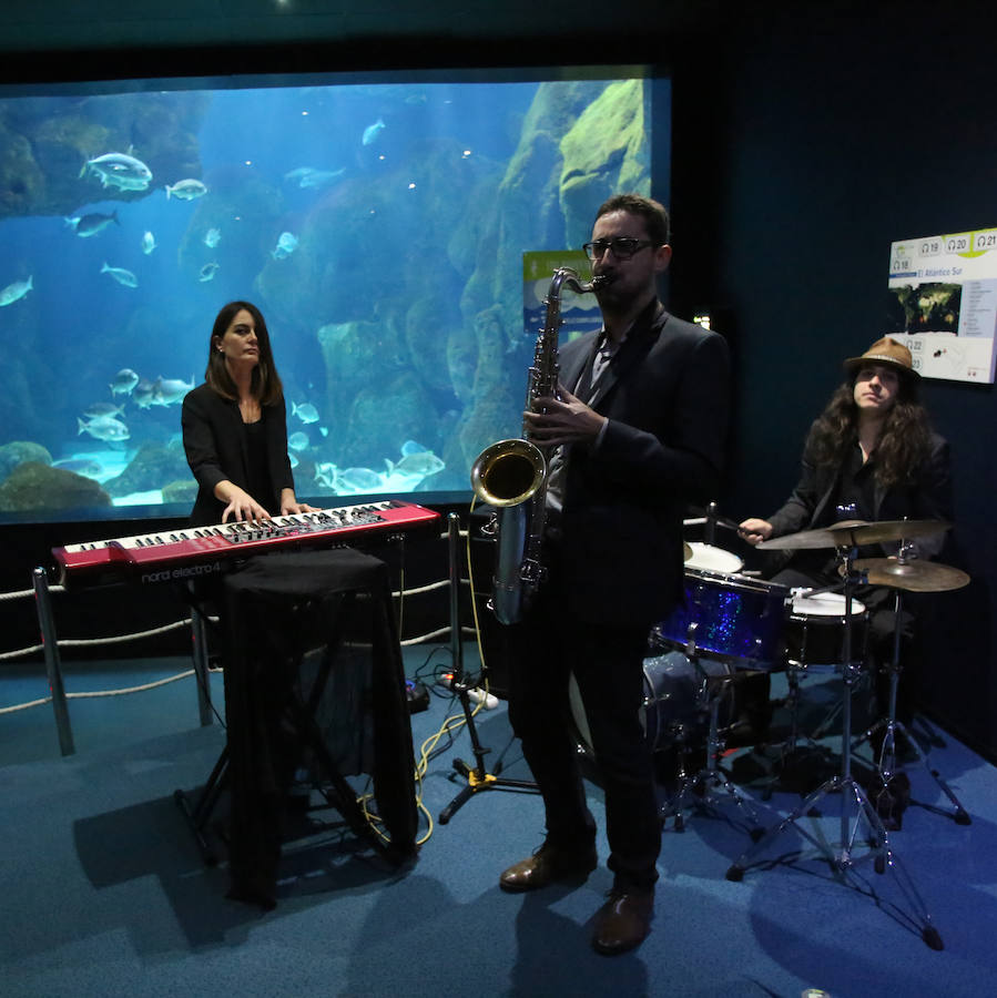 Un cóctel de lo más especial para celebrar los diez años del Acuario de Gijón