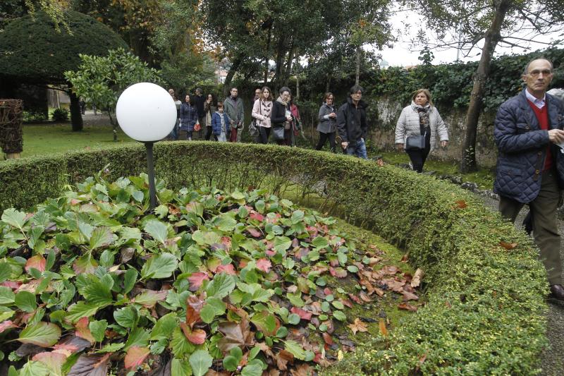 Visita guiada a los jardines del Museo Evaristo Valle